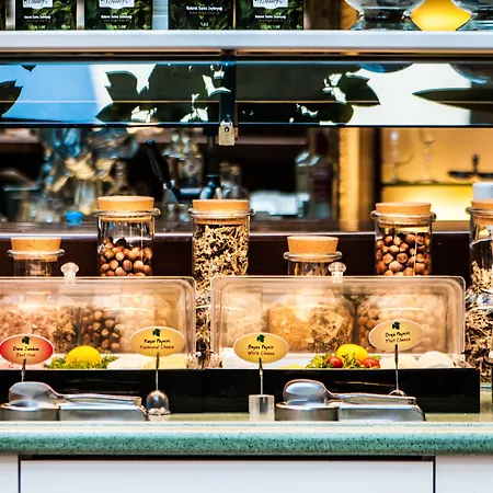 Gordion - Special Class מלון